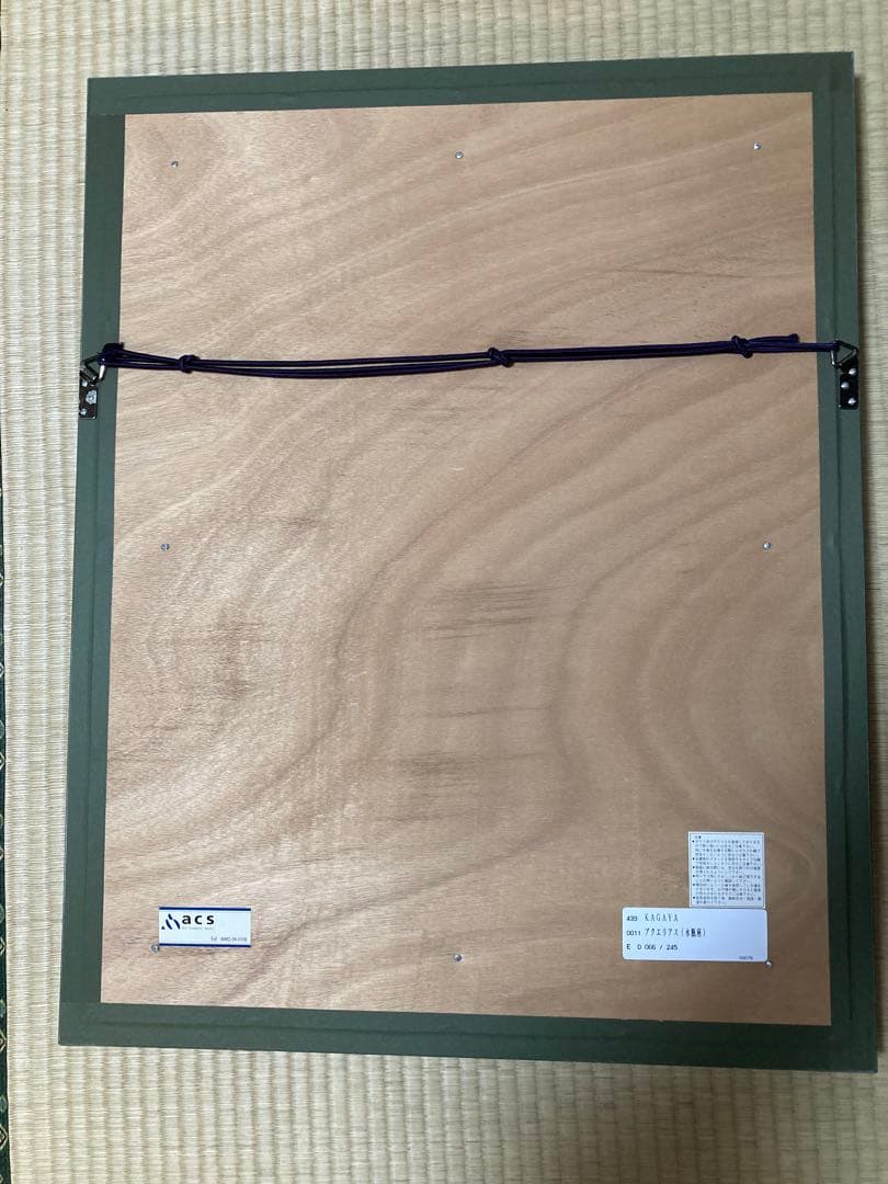 KAGAYA アクエリアス(水瓶座) - メルカリ