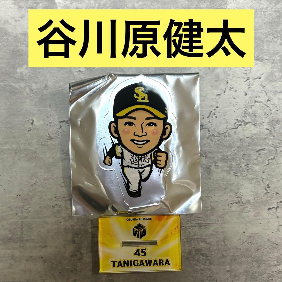 谷川原健太 開幕戦ver 2024 若鷹ガチャ ホークス アクリルスタンド