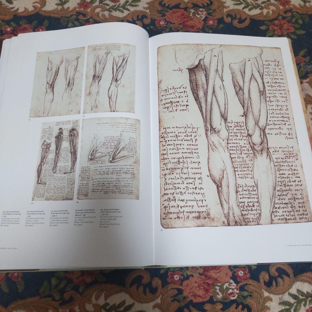 レオナルド・ダ・ヴィンチ : 1452-1519年 全絵画作品・素描集英語版