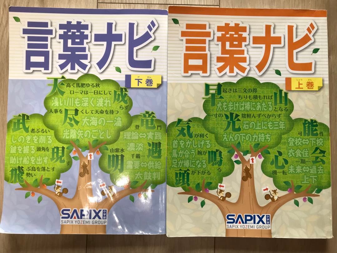 サピックス　言葉ナビ　上下巻　SAPIX SAPIX サピックス 国語 言葉ナビ 上巻 テキスト 状態良 2019 012m2D