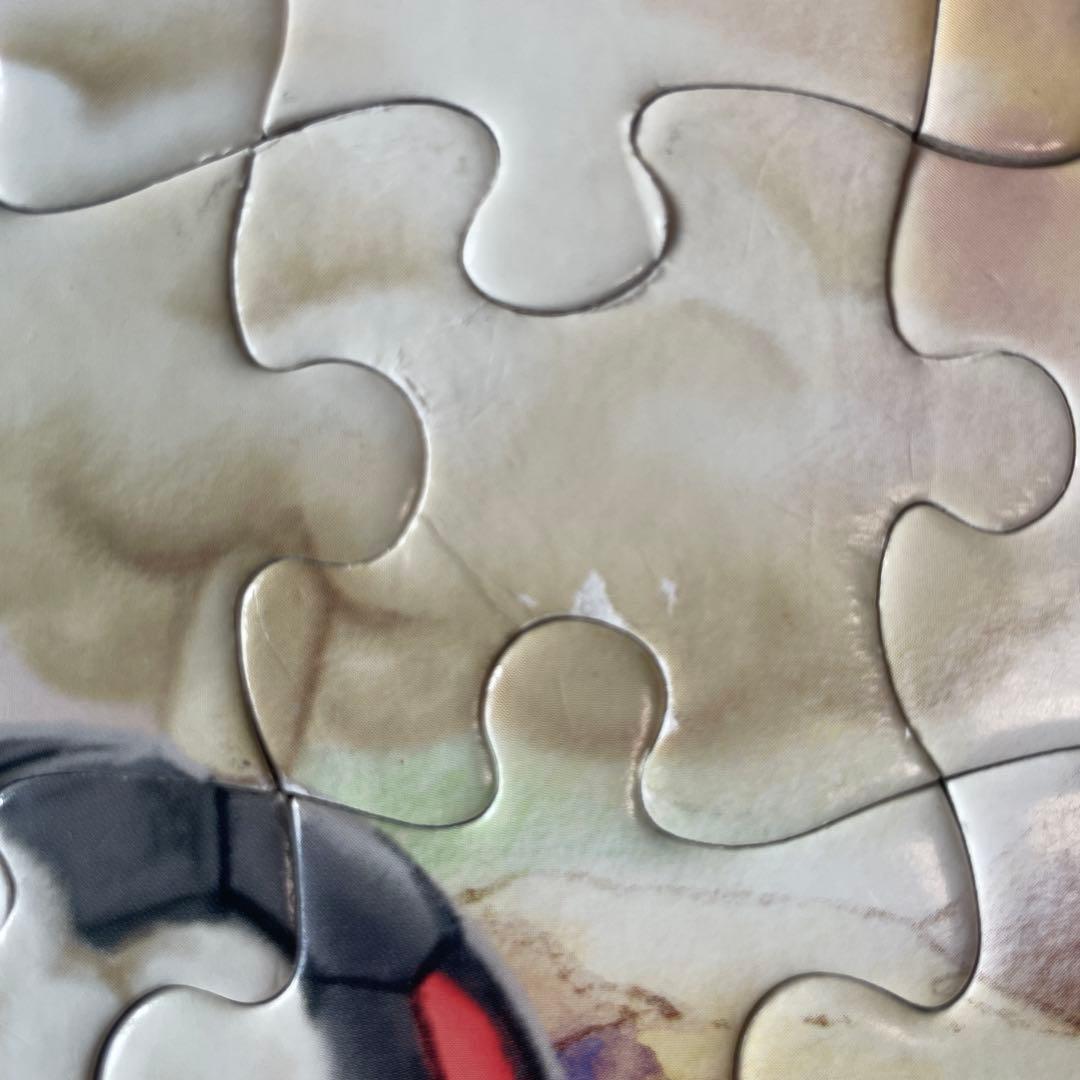 ポケットモンスター アドバンスジェネレーション ジグソーパズル 木製