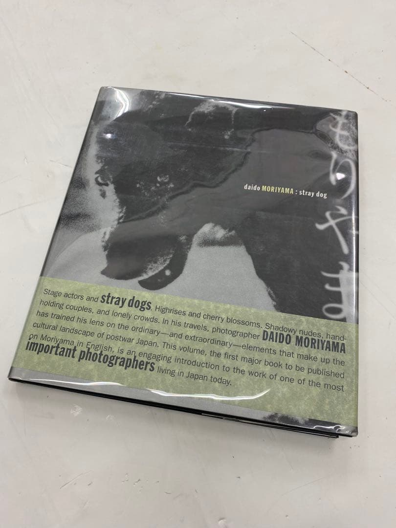 DAIDO MORIYAMA - stray dog. 森山大道 展覧会 | NMAO：国立国際美術館