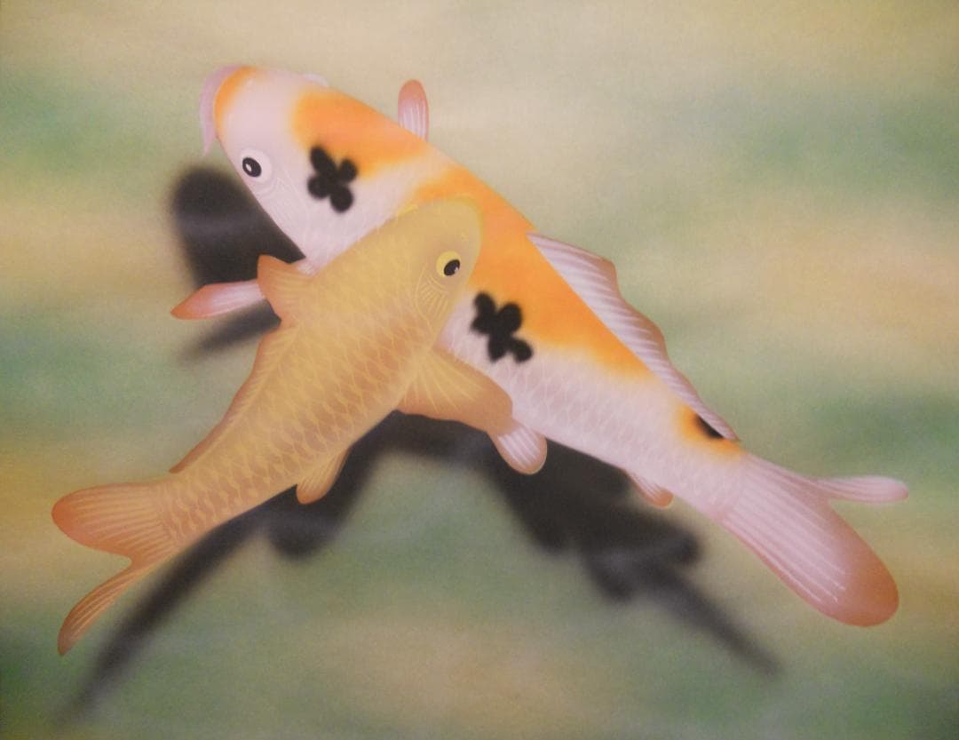 掛け軸 蒼雪 大入鯉 おおいり 絹本 希少 軸装 茶道具 掛軸 美品 です