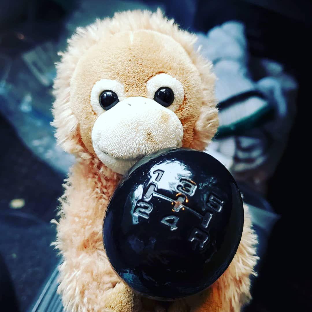 オラウータン オーシャン・ザリウム バリエーション / 限定50本 OCEABI42ZZ005