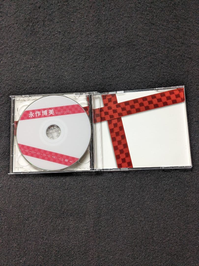 永作博美 SINGLES シングル コンプリート DVD 黒沢健一 亀田誠治