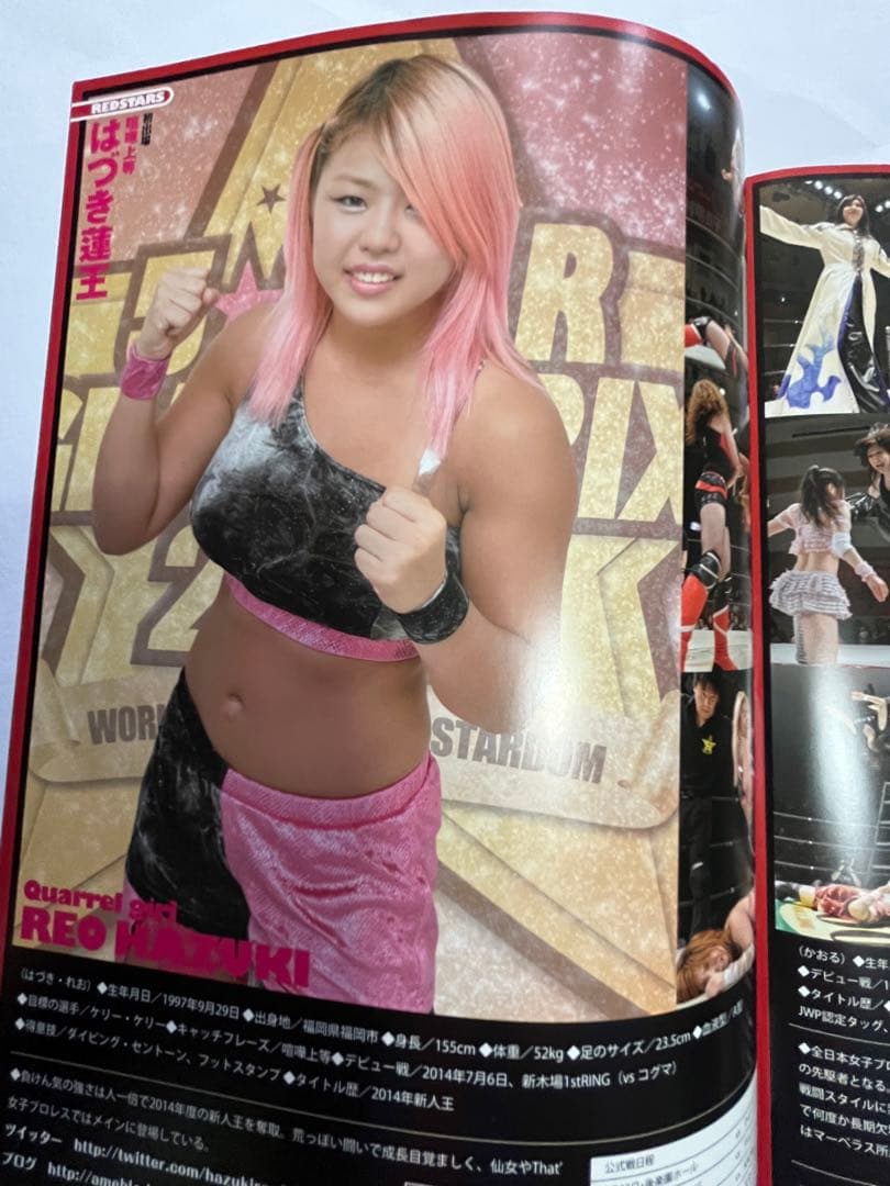 スターダム観戦ガイドブック 紫雷イオ、岩谷麻優、サンダーロック