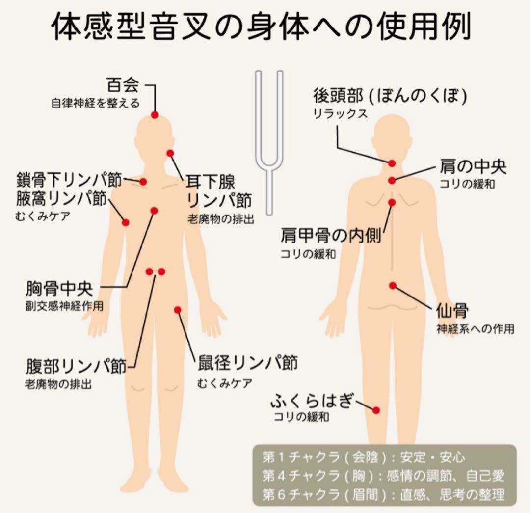 HARMONIA音叉 432Hz 特大クリスタル音叉 - メルカリ