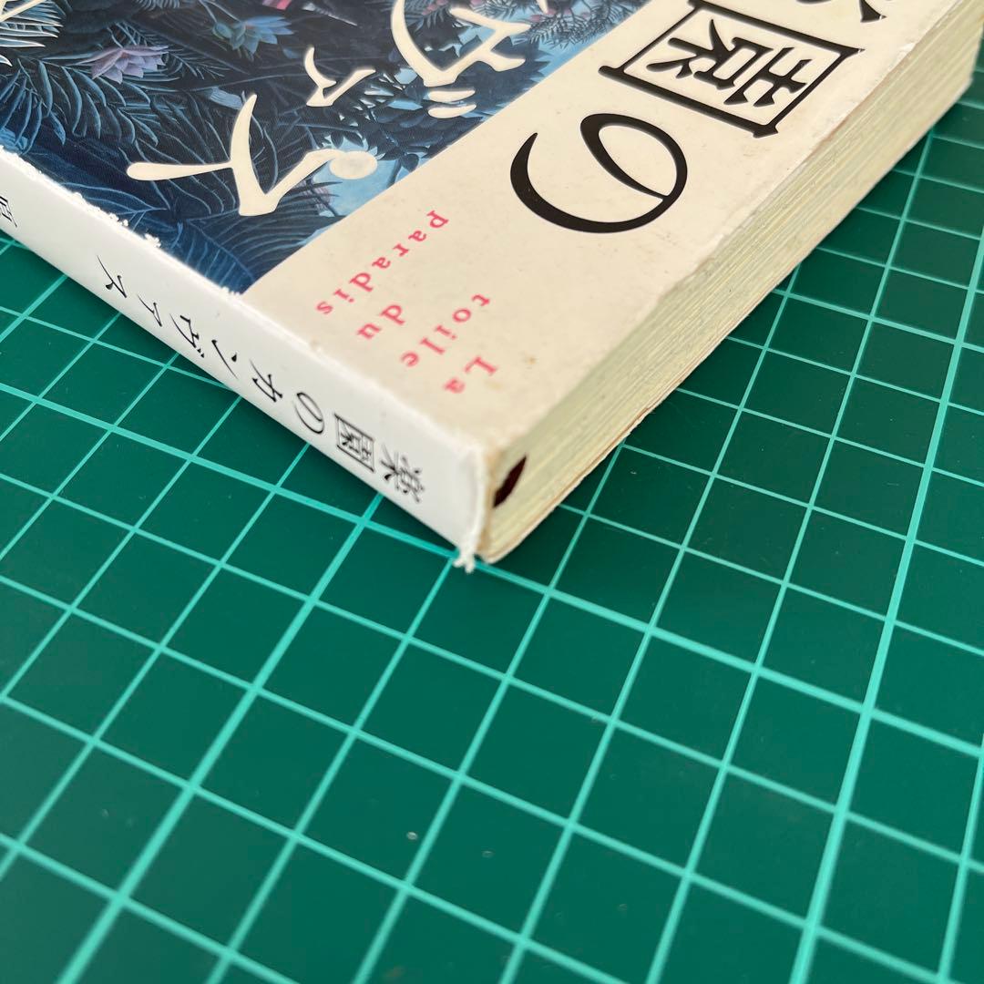 楽園のカンヴァス 原田マハ 新潮文庫 - メルカリ