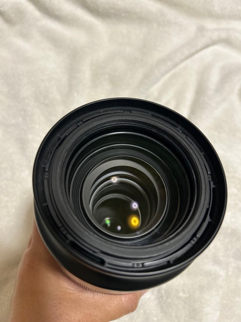 SIGMA 100-400mm f/5-6.3 DG OS HSM EFマウント