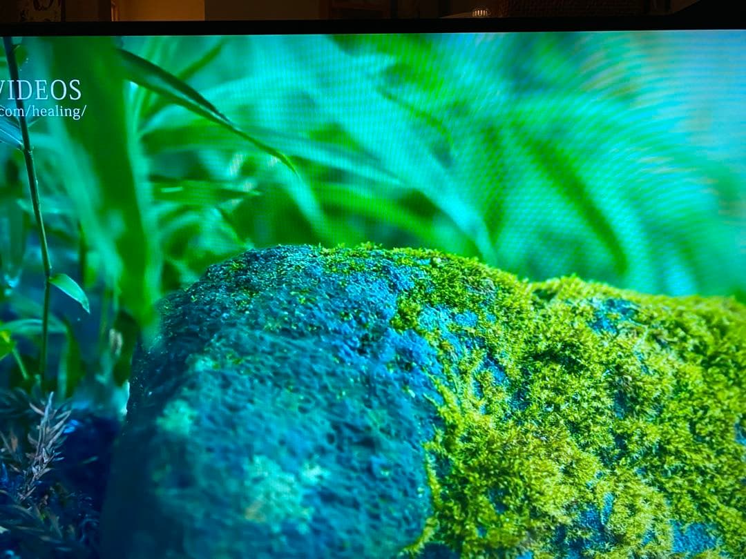 金欠学生様専用】BRAVIA KJ55X9300D ソニー55インチ4K - メルカリ