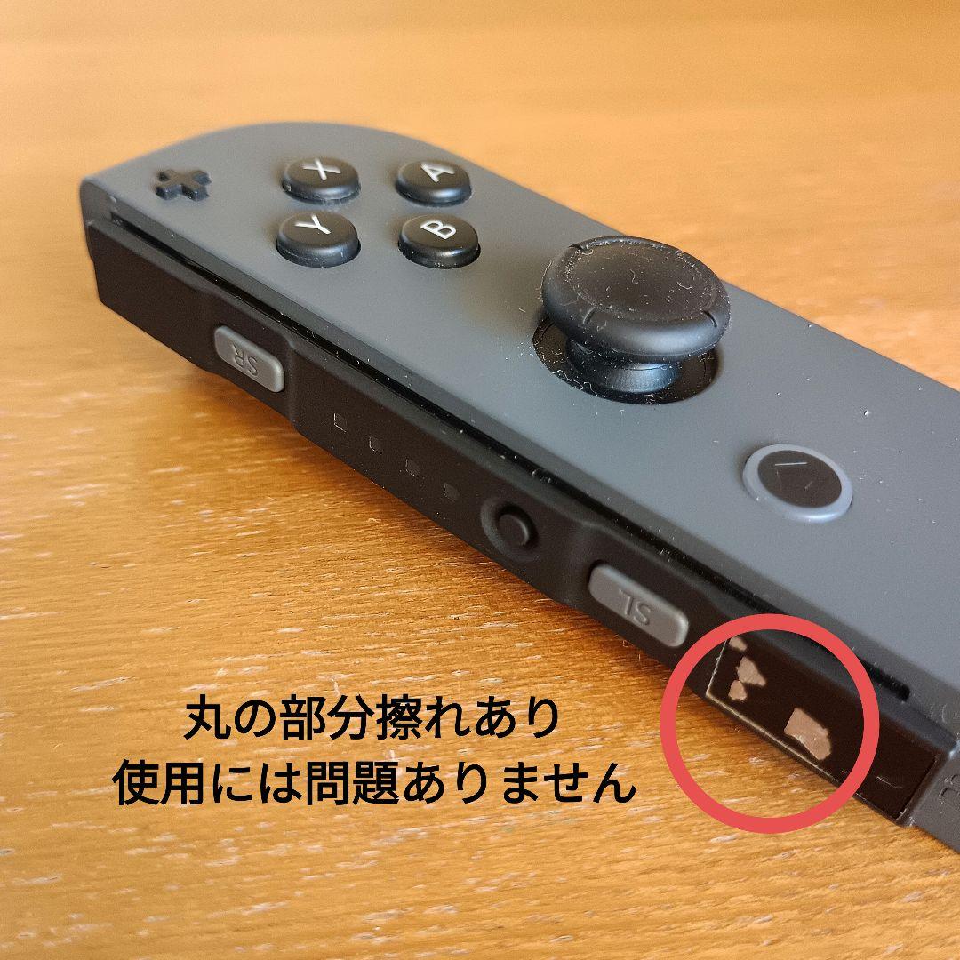 任天堂Switch本体 付属品 冷却ファン付きドッグ 別売りケース グレー