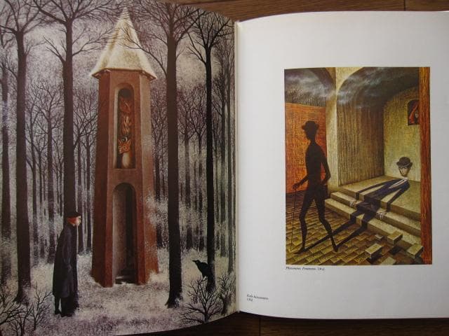 REMEDIOS VARO レメディオス・バロ 画集 - メルカリ