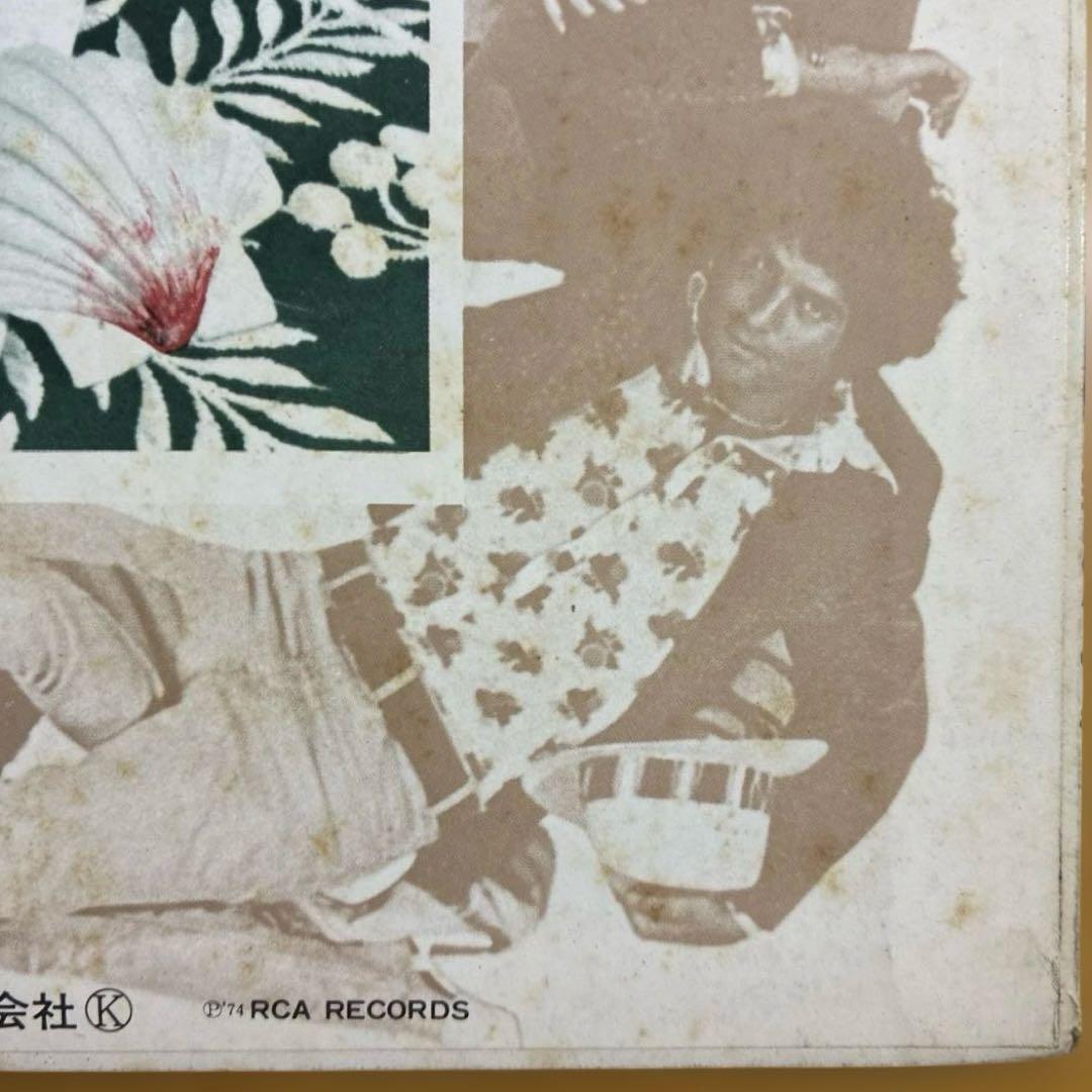 ベルリン/ルー・リード 国内盤レコード 別解説・歌詞カード付き1974年