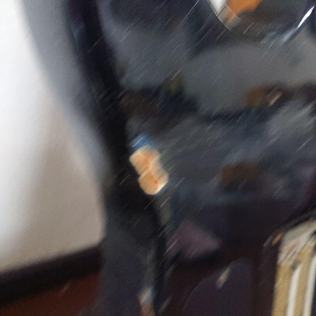 みかん06さん専用♡シャーベルエレキギター ブラックジャンク品 - メルカリ