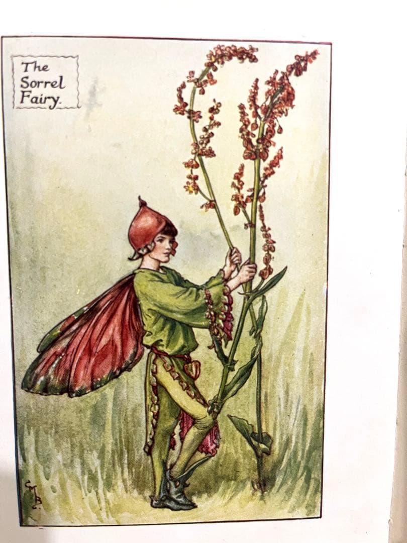 No.261 希少 古書 洋書 絵本 花の妖精 フラワー フェアリーズ - メルカリ