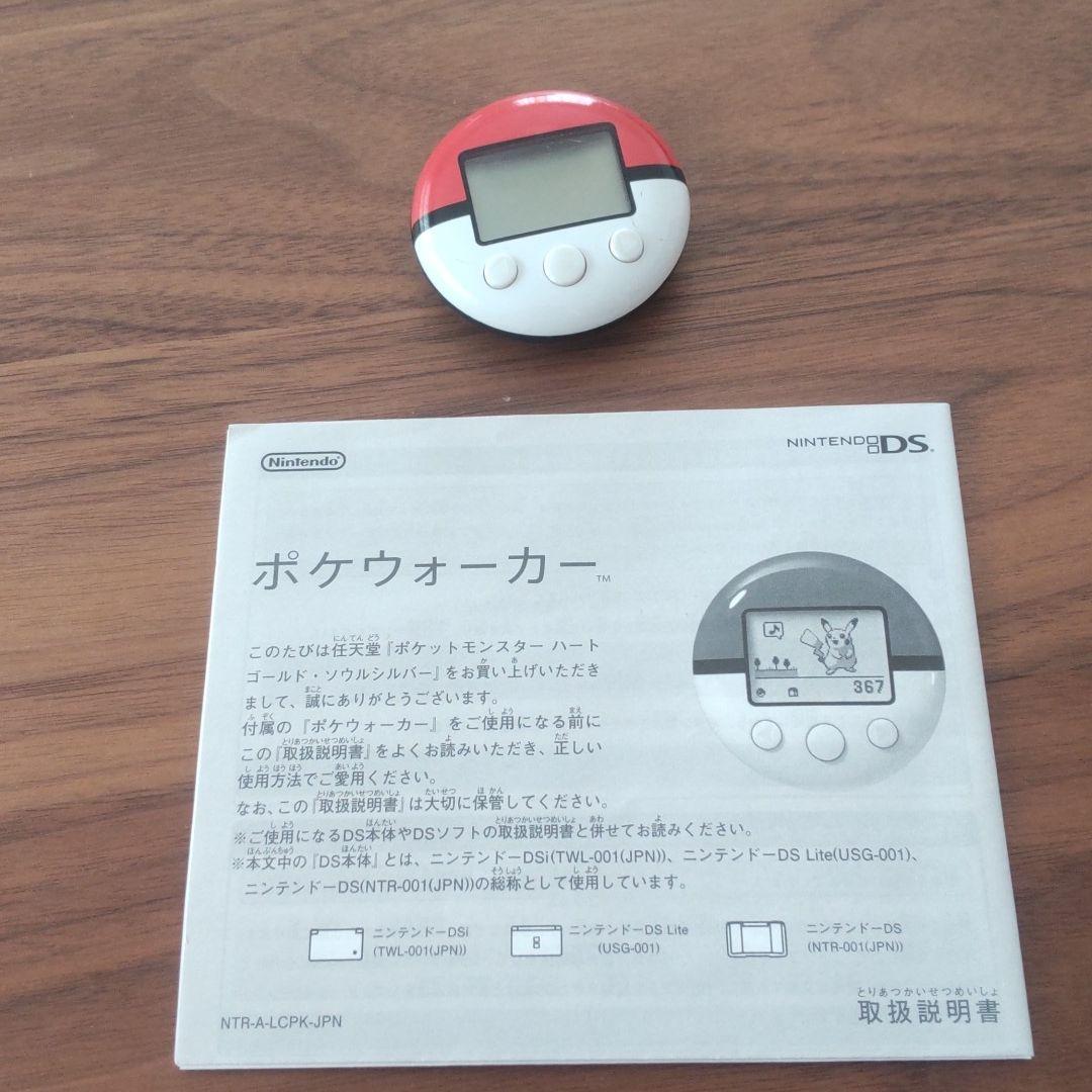 ポケウォーカー　2525369 Ortovox Switchback 25 S women's ski mountaineering backpack