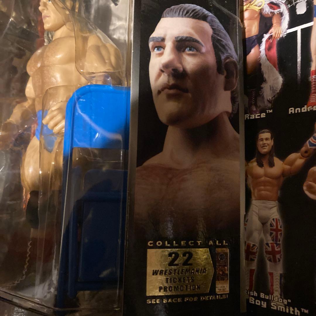 WWEかクラシック10 ブルーノサンマルチノブルーノ・サンマルチノ逝去