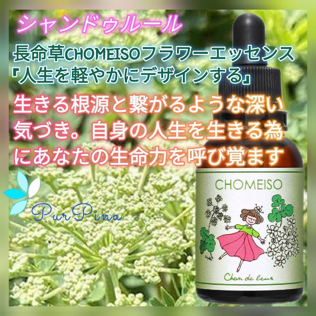 【予約品】長命草『命の雫』チョウメイソウ フラワーエッセンスのシャンドゥルール 長命草 フラワーエッセンス フラワーエッセンスのシャンドゥルール