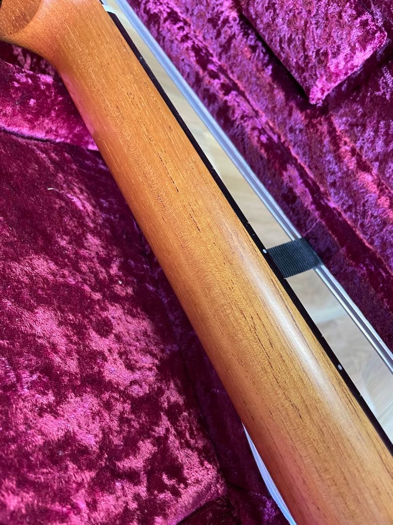 Lakewood A-45 Custom Ziricote Europian - メルカリ