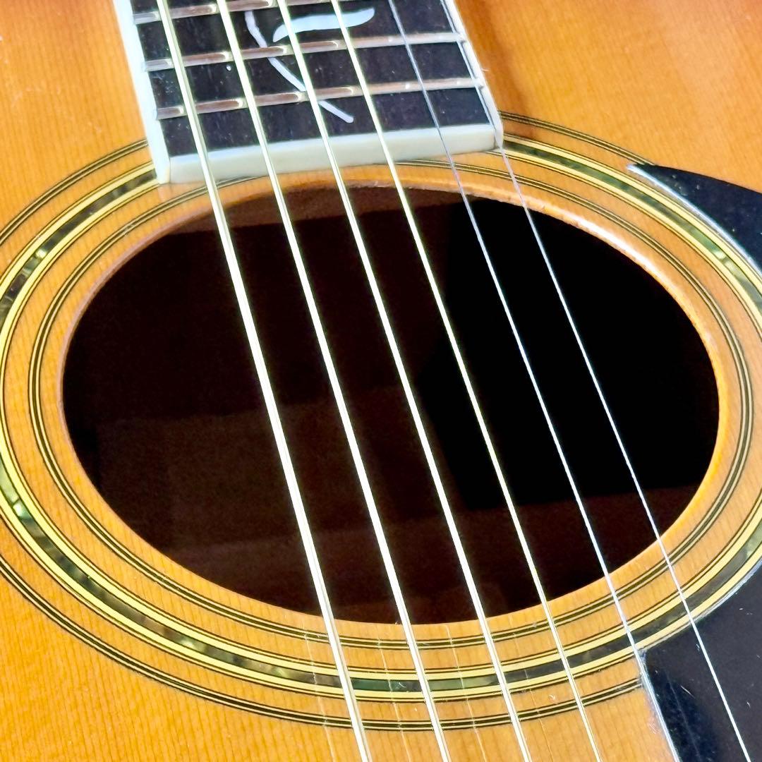 TF Morris「LF-500」ツリー・オブ・ライフインレイ - メルカリ