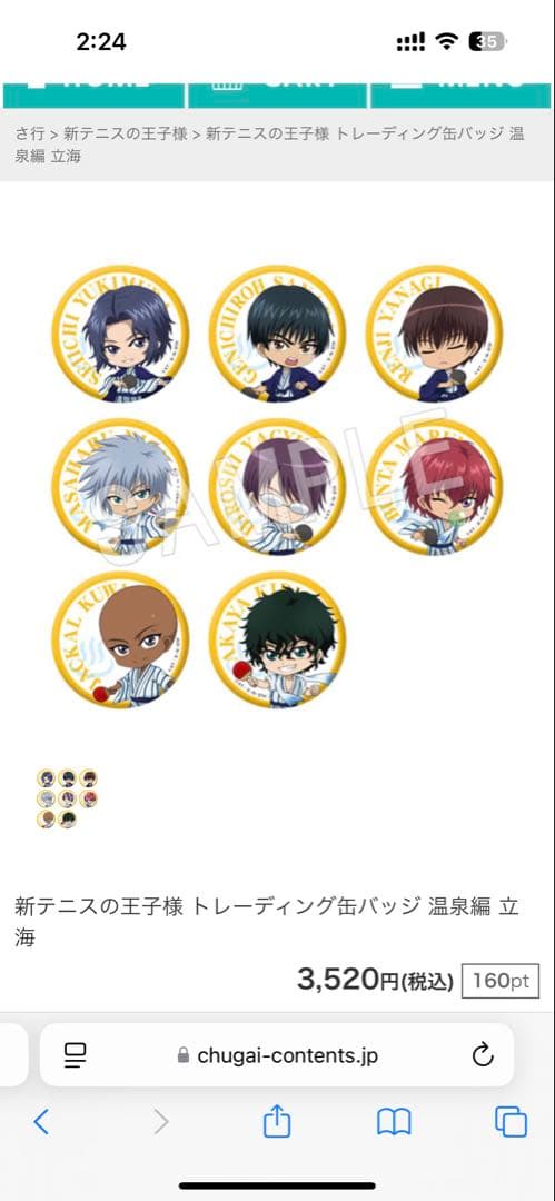 新テニスの王子様 柳蓮二 真田弦一郎 温泉編 缶バッジ SD ミニキャラ