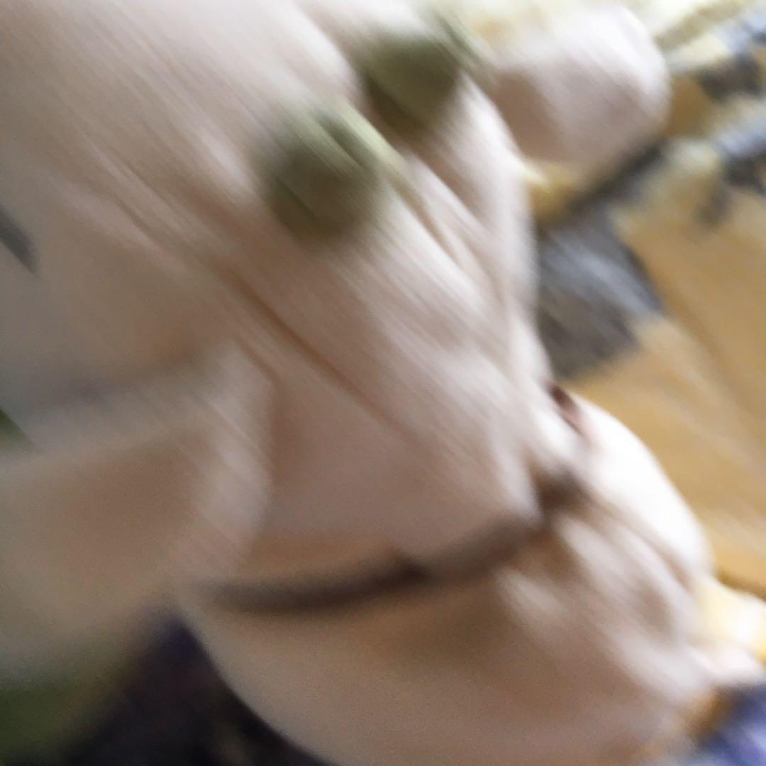 山羊 Motorcraft 8L1Z18125X Motorcraft Shocks and Struts | Summit Racing