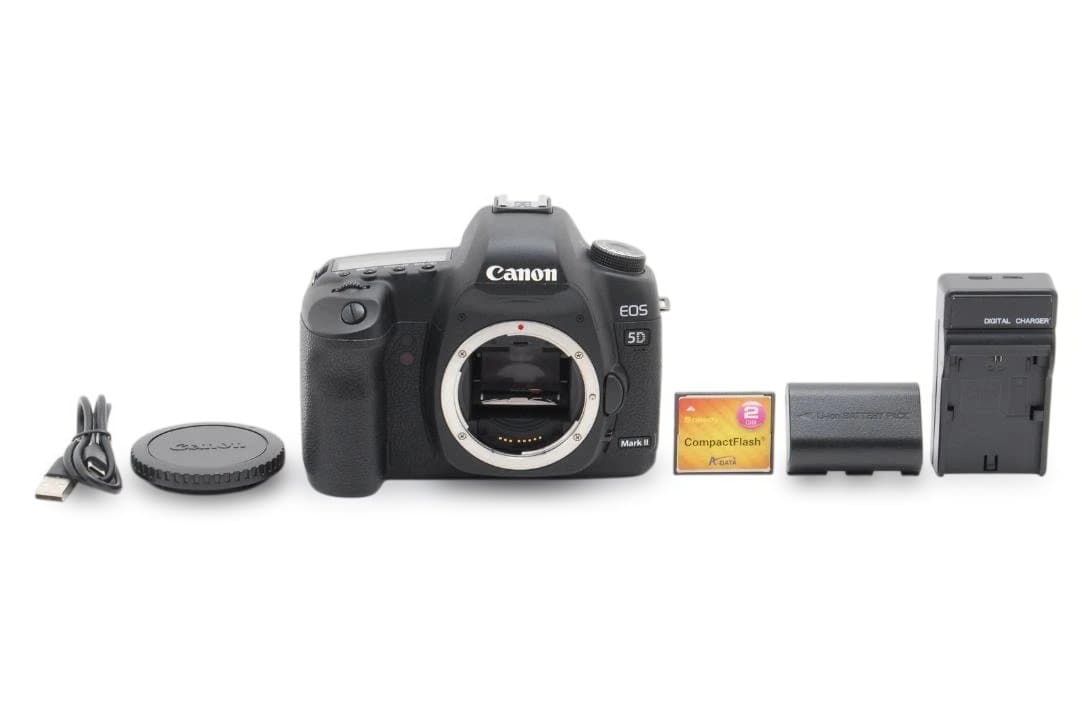 Canon EOS 5D Mark II デジタル一眼レフカメラ 14年前のデジカメで写真を撮ってみた【EOS 5D Mark II】