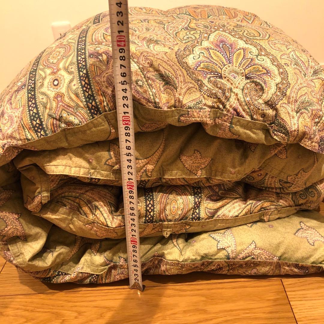 大阪西川 超長綿100% グースダウン93% 手摘み 1.2k 一層 日本製 緑