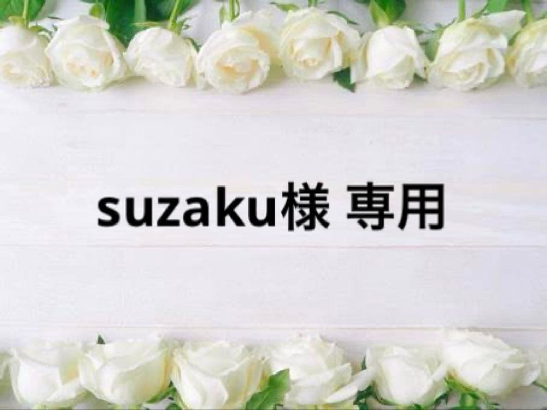 suzaku Suzaku Kururugi | VS Battles Wiki | Fandom