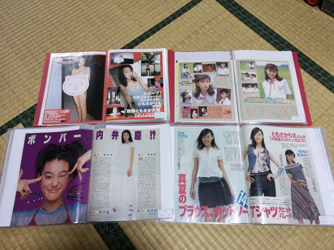 ともさかりえ(1冊200円計算)81冊分209ページ切り抜きしファイリング済み