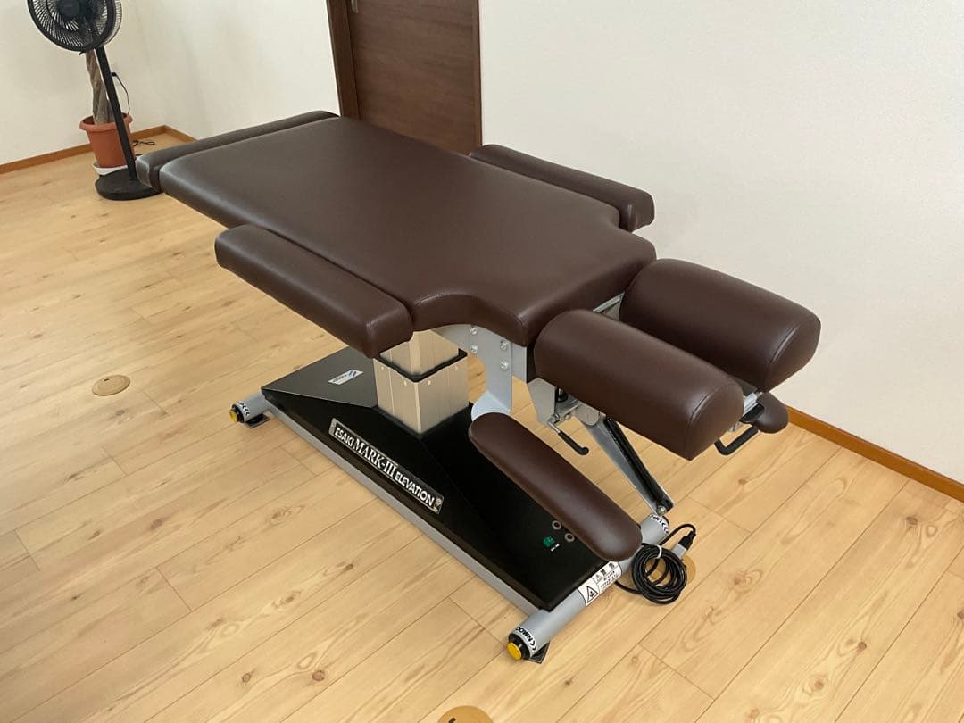 ESAKI MARKS III 昇降 カイロベッド新品張り替え済み ESAKI MARKS III