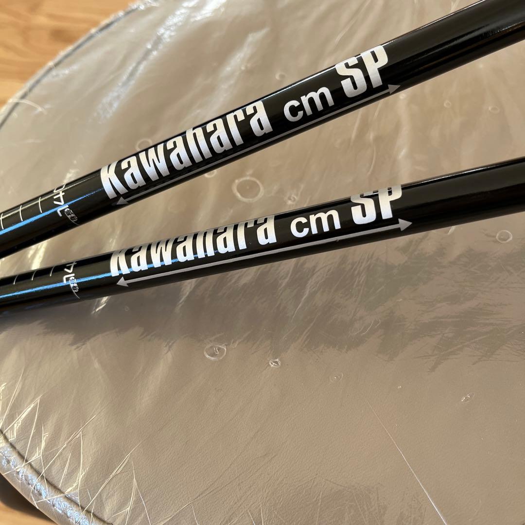 カワハラウォーキング カワハラポール 紫 - メルカリ