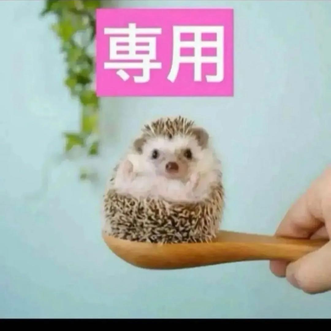 2点、クッション010レフィル 、クッション010ケース付き NARS（ナーズ） 並行輸入品 ナチュラルラディアント ロングウェア