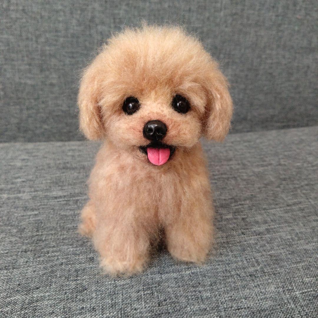jill様専用 羊毛フェルトトイプードル×マルチーズ マルプー 犬