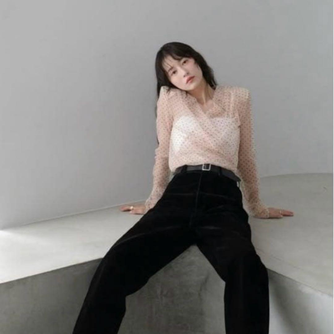 SHEER DRAPE BODYSUITS MIX - メルカリ