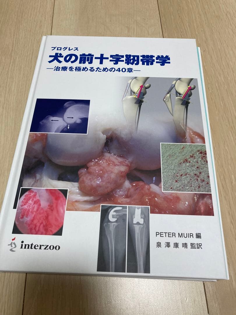 裁断済み　犬の前十字靭帯学 前十字靭帯断裂 | 犬と猫の整形外科病院 文京区の動物病院（千石駅・犬猫）