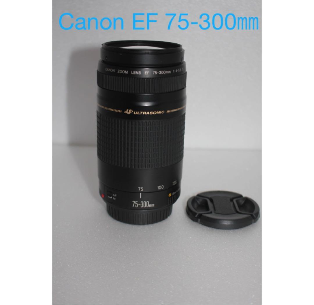 イベント/キャノン/大迫力の300㎜/Canon EF75-300㎜ Amazon.com : Canon EF 75-300mm f/4-5.6 III Telephoto Zoom Lens for