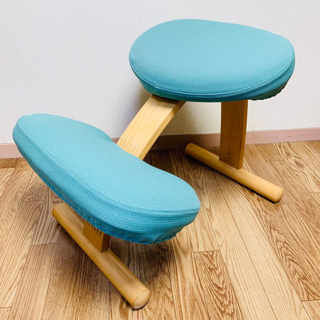 バランスチェア イージー カバー付 サカモトハウス (現バランスラボ）調節ガイド 楽天市場】バランスチェア バランスイージー カバー バランスラボ