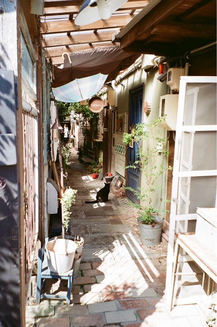 Natura classica【マーズ様専用】の通販はau PAY マーケット - 輸入