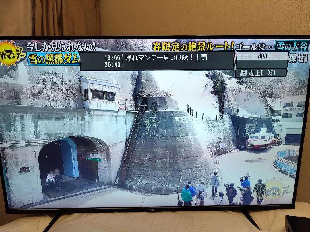 TCL 43インチ 液晶テレビ 2019年モデル TCL 43 inch TVs, 43 inch QLED & 4K UHD TVs | TCL Global