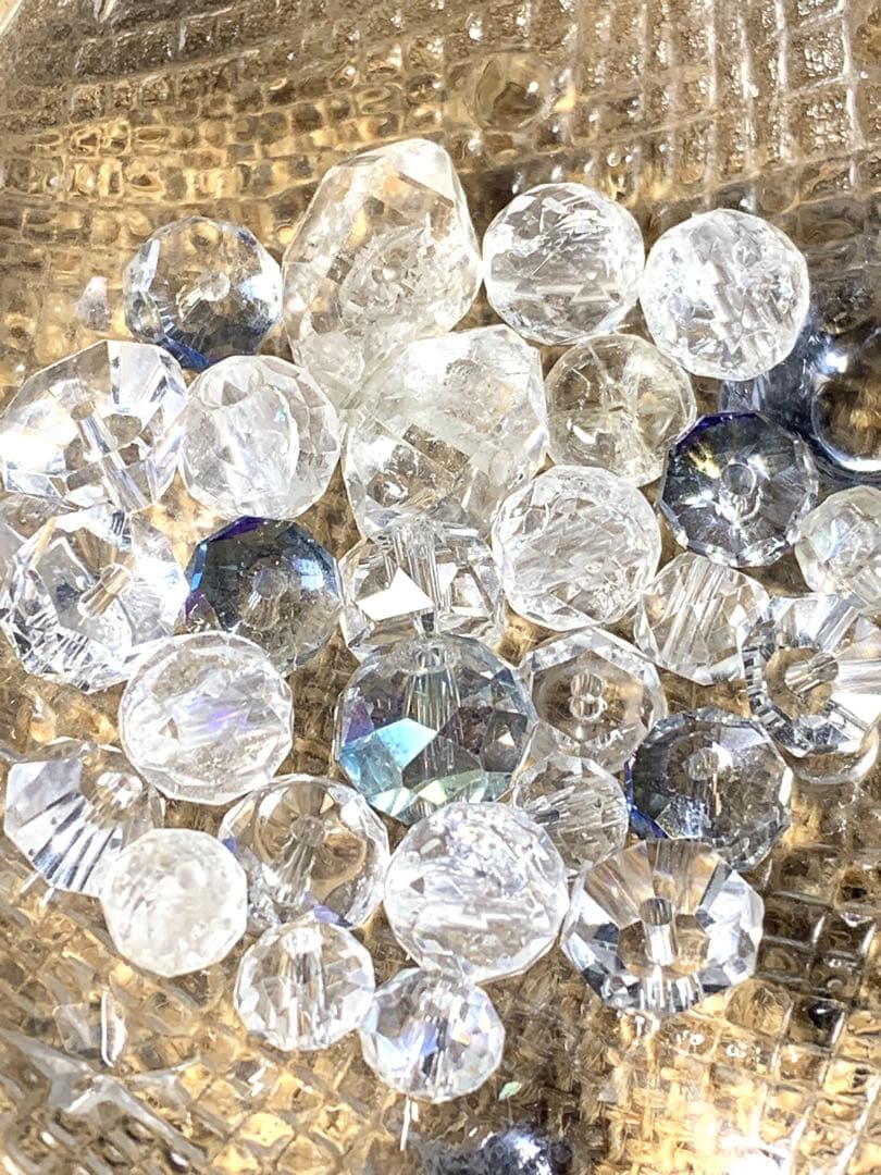 猿たまさんご確認用 玉珊瑚（たまさんご） | どら猫の花図鑑