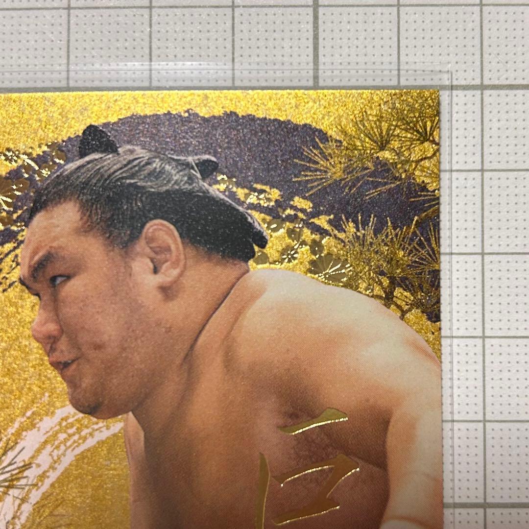 BBM 2026 大相撲カード インサート 巨星 豊昇龍 智勝 50枚限定 - メルカリ