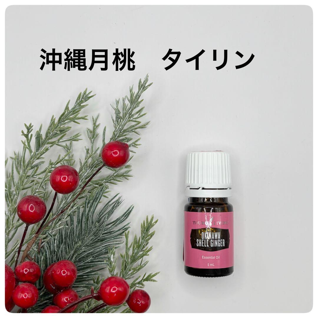 新品❣️ 沖縄月桃　タイリン　5ml 再販開始　ヤングリビング　集中力　スキンケア 再販スタート｜沖縄 月桃（タイリン）エッセンシャルオイル - ヤング