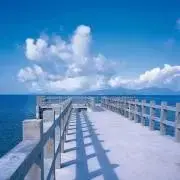 新品同様 CD エエジャナイカ キャナァーリ倶楽部 - メルカリ