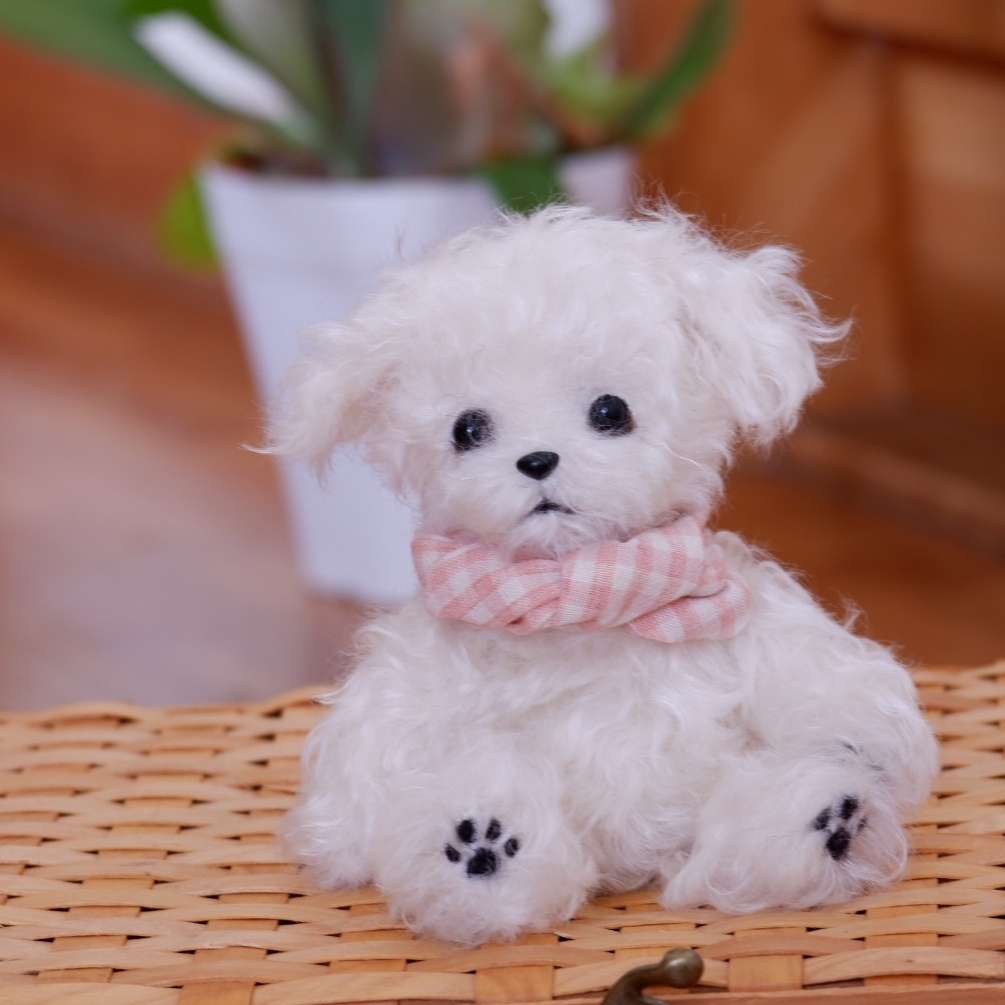 パピヨン 羊毛フェルト 犬 - YURI-FELT'S GALLERY | minne byGMOペパボ